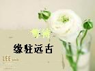 假瞎子按摩师在线阅读