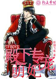 全职法师电子书txt下载
