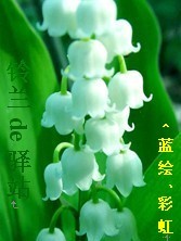 飞机艳遇的言情小说
