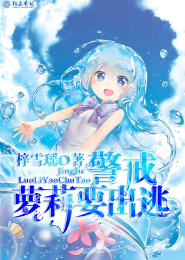 混乱大明