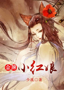 宅男的法师塔