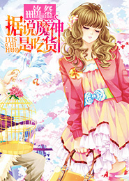 侠盗杨枫