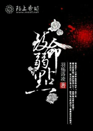 小娇妻