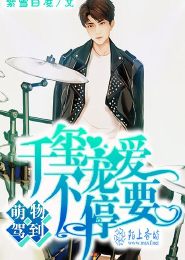 重生我的书记人生