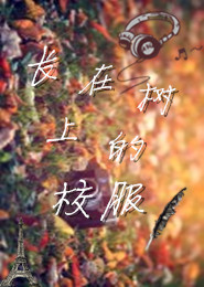 花开半夏的txt链接