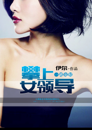 凰鸣鹊影