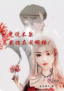 杨宗保大战杨门女将txt