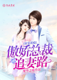京城81号小说