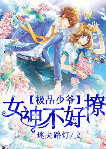 极品武宗师