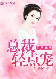 农门丑妇打脸守则小说
