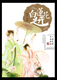 复仇公主的残伤之泪