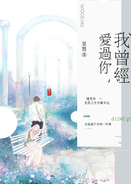 官途刘飞无弹窗