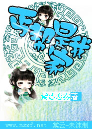 总有刁妃坑本王
