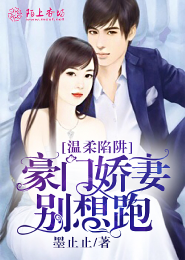 亿万首席的腹黑妻