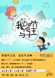 非职业小厮之王妃