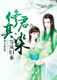 凌云者传