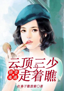 辛琪言情小说作品集