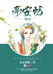 中国厨师在首尔小说