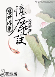 书香中文小说网