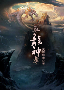 综漫：从战斗番开始简化技能