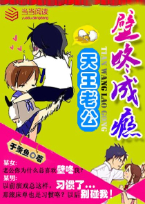 光墙里面的国度