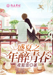 全职高手女主视角无cp
