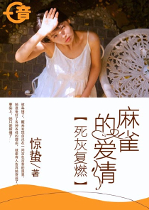 主角是台湾的小说