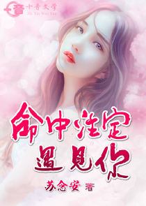 小说风云榜全本最新小说