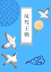 大清年华