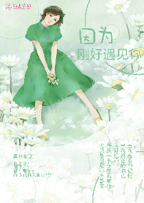 龙王林峰叶紫凝
