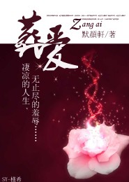 小夫人，放肆宠云想想傅燕生