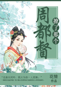 我只是个流浪汉