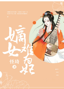 天贼生涯