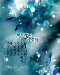 开局成为道门掌尊