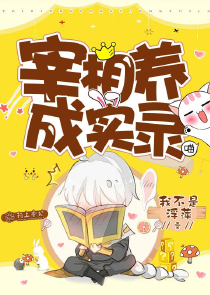 前夫我们我离婚吧