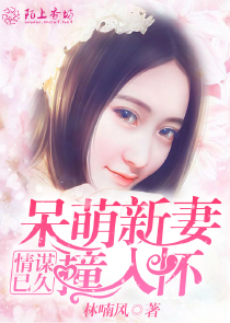 总裁的小小妻17岁