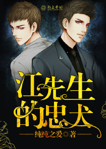 龙珠之神仙