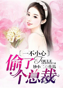 一不小心娶了位江湖公敌