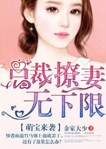豪门婚变河清海晏七七小说