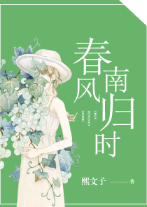 郑媛玻璃鞋小说阅读网
