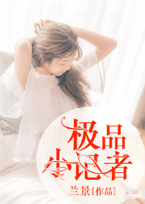 类似于硬核危机的小说