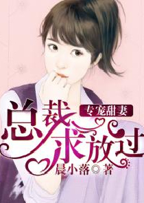 爱情公寓:精英律师