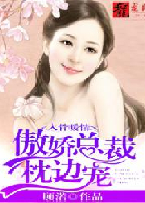 拐个丞相当老公