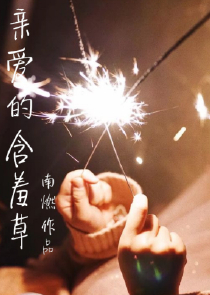 书荒了求推荐2019神作