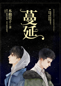 枪类的小说