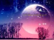快穿夺宝转盘