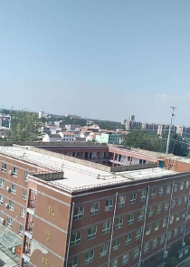 歧天路后续