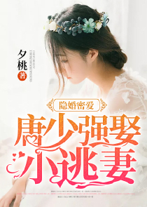 神奇宝贝之雪落尘嚣