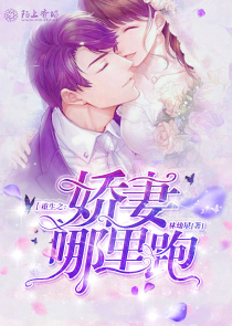 爱有来生小说