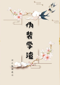 非专业大师txt